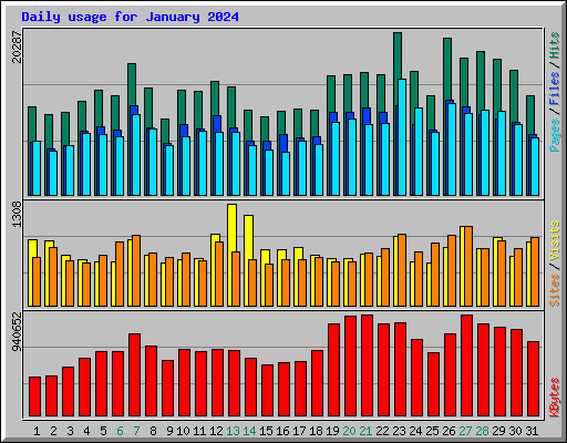 Daily usage for January 2024