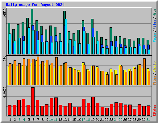 Daily usage for August 2024