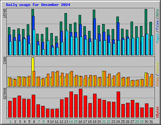 Daily usage for December 2024