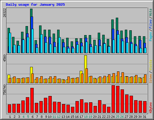 Daily usage for January 2025