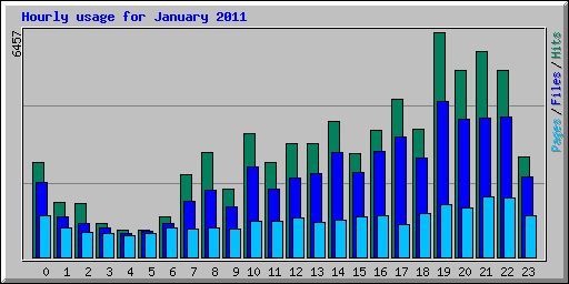 Hourly usage for January 2011