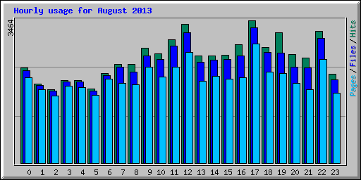 Hourly usage for August 2013