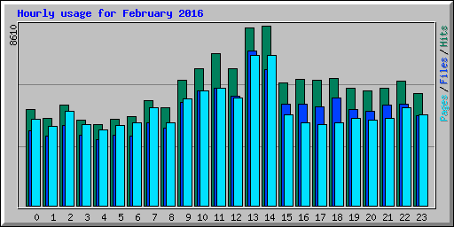 Hourly usage for February 2016