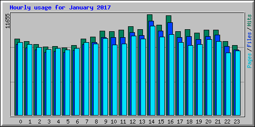 Hourly usage for January 2017