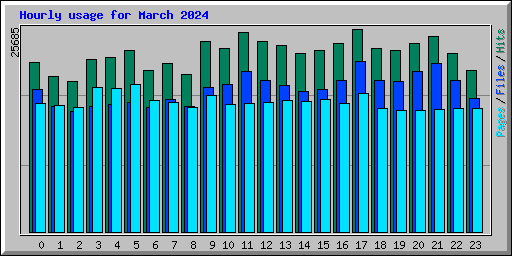 Hourly usage for March 2024