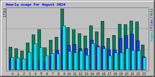 Hourly usage for August 2024