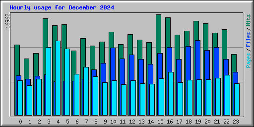 Hourly usage for December 2024
