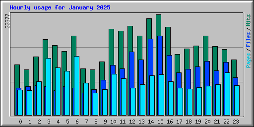 Hourly usage for January 2025