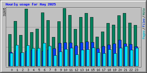 Hourly usage for May 2025