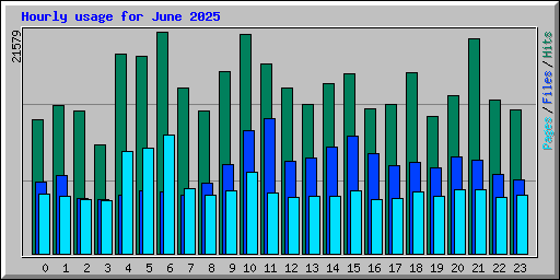 Hourly usage for June 2025