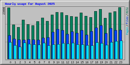Hourly usage for August 2025