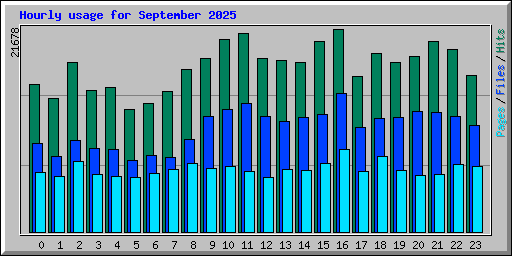 Hourly usage for September 2025