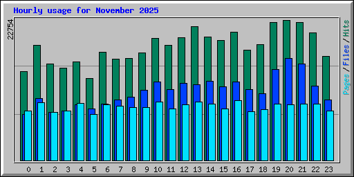 Hourly usage for November 2025