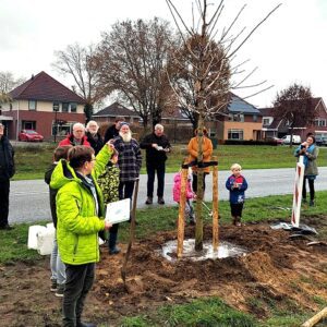 De Groene Verbinding plant jubileumboom